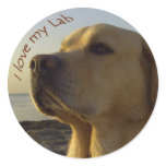 I love my Lab Round Sticker