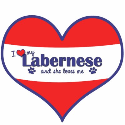 Labernese Pictures