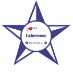 I Love My Labernese (Female Dog) photo sculptures