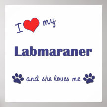 I Love My Labmaraner (Female Dog) Print