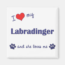 I Love My Labradinger (Female Dog) Magnets