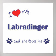 I Love My Labradinger (Female Dog) Poster
