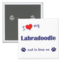 I Love My Labradoodle (Male Dog) Pin