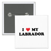 I Love My Labrador Pinback Buttons