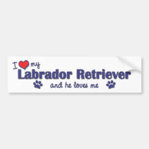 I Love My Labrador Retriever (Male Dog) Bumper Stickers