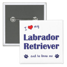 I Love My Labrador Retriever (Male Dog) Pinback Button