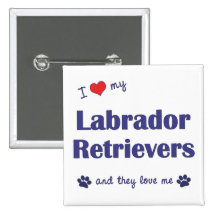 I Love My Labrador Retrievers (Multiple Dogs) Buttons