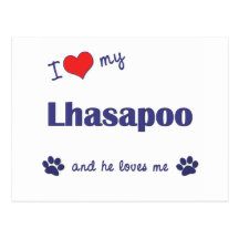 I Love My Lhasapoo (Male Dog) Postcard