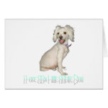 I Love My Little White Dog - Poodle / Bichon Mix Cards