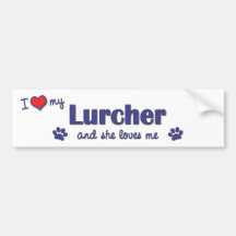I Love My Lurcher (Female Dog) Bumper Stickers