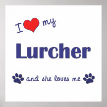 I Love My Lurcher (Female Dog) Poster