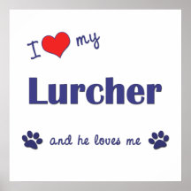 I Love My Lurcher (Male Dog) Poster