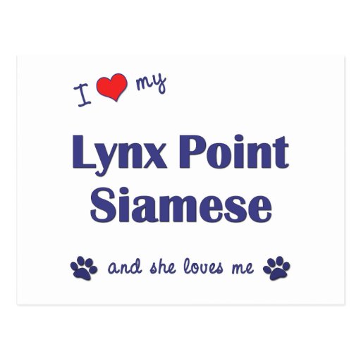 I Love My Lynx Point Siamese (Female Cat) Postcards