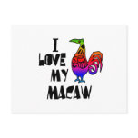 I Love My Macaw Post Cards