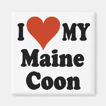 I Love My Maine Coon Cat Gifts and Apparel Refrigerator Magnet