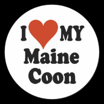 I Love My Maine Coon Cat Merchandise stickers
