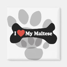 I Love My Maltese - Dog Bone Refrigerator Magnet