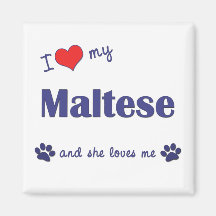 I Love My Maltese (Female Dog) Refrigerator Magnets