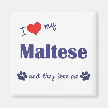 I Love My Maltese (Multiple Dogs) Fridge Magnet