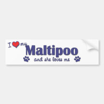 I Love My Maltipoo (Female Dog) Bumper Sticker