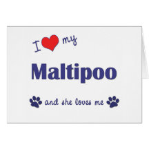 I Love My Maltipoo (Female Dog) Greeting Card
