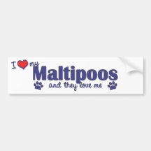 I Love My Maltipoos (Multiple Dogs) Bumper Stickers