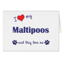 I Love My Maltipoos (Multiple Dogs) Cards