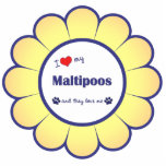 I Love My Maltipoos (Multiple Dogs) Photo Sculpture