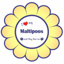 I Love My Maltipoos (Multiple Dogs) Photo Sculpture