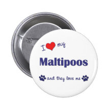 I Love My Maltipoos (Multiple Dogs) Pin