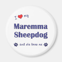 I Love My Maremma Sheepdog (Female Dog) Magnet