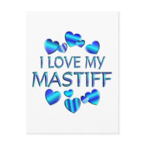 I Love My Mastiff Post Card