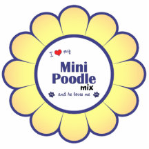 I Love My Mini Poodle Mix (Male Dog) Acrylic Cut Outs