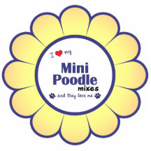I Love My Mini Poodle Mixes (Multiple Dogs) Photo Sculpture