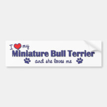 I Love My Miniature Bull Terrier (Female Dog) Bumper Sticker