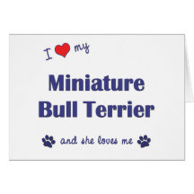 I Love My Miniature Bull Terrier (Female Dog) Greeting Cards