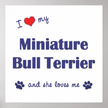 I Love My Miniature Bull Terrier (Female Dog) Poster