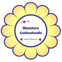 I Love My Miniature Goldendoodle (Male Dog) Acrylic Cut Outs