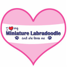 I Love My Miniature Labradoodle (Female Dog) Photo Cutout