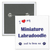 I Love My Miniature Labradoodle (Male Dog) Button