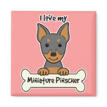 I Love My Miniature Pinscher magnets