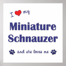 I Love My Miniature Schnauzer (Female Dog) Poster