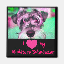 I Love My Miniature Schnauzer Magnet
