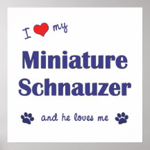 I Love My Miniature Schnauzer (Male Dog) Print
