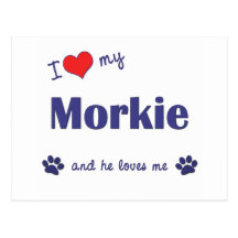 I Love My Morkie (Male Dog) Postcards