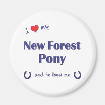 I Love My New Forest Pony (Male Pony) Fridge Magnet