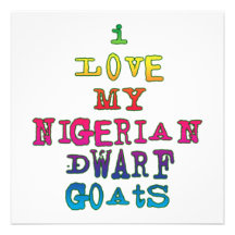I Love My Nigerian Dwarf Goats Personalised Announcements