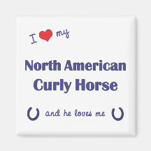 I Love My North American Curly Horse (Male Horse) Refrigerator Magnets