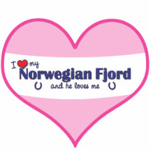 I Love My Norwegian Fjord (Male Horse) Photo Cutout