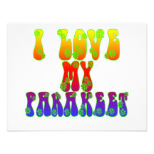 I Love My Parakeet Custom Announcements